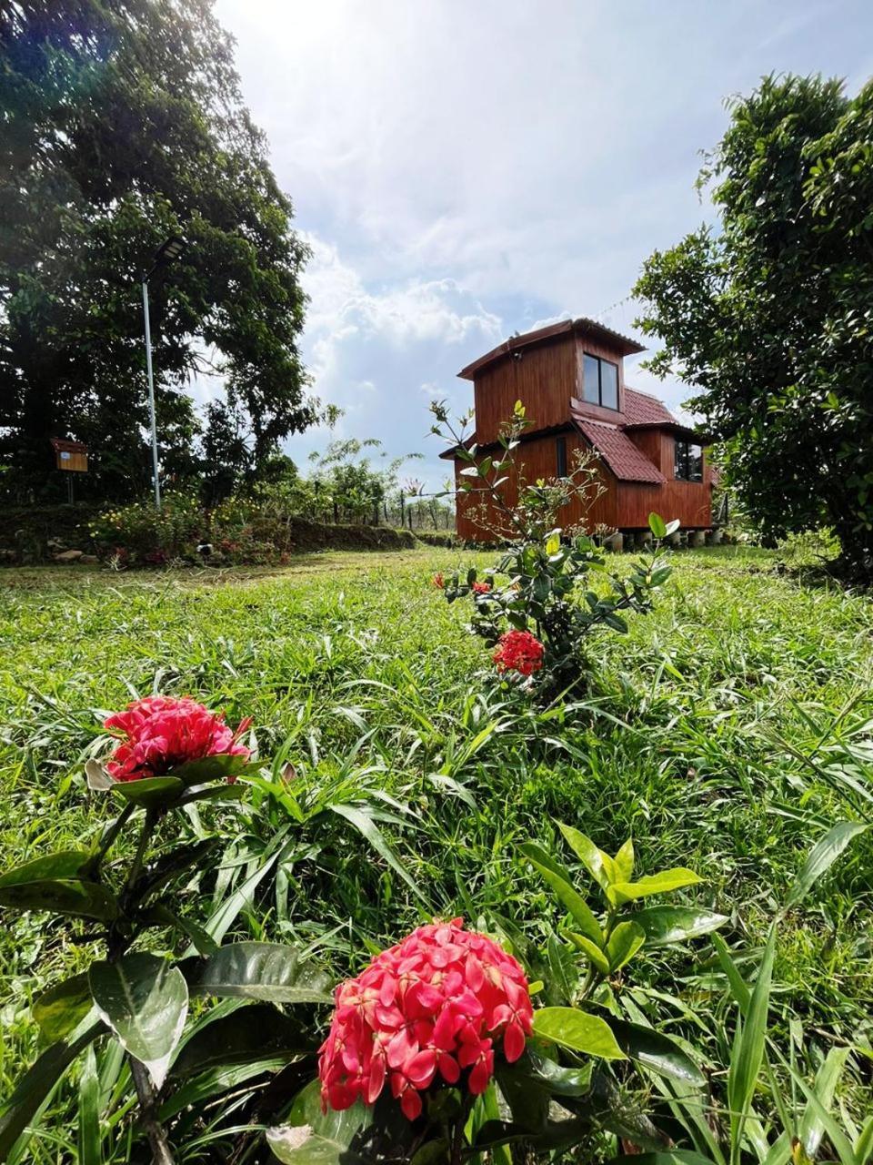 Myra Chalets Bijagua Exterior photo